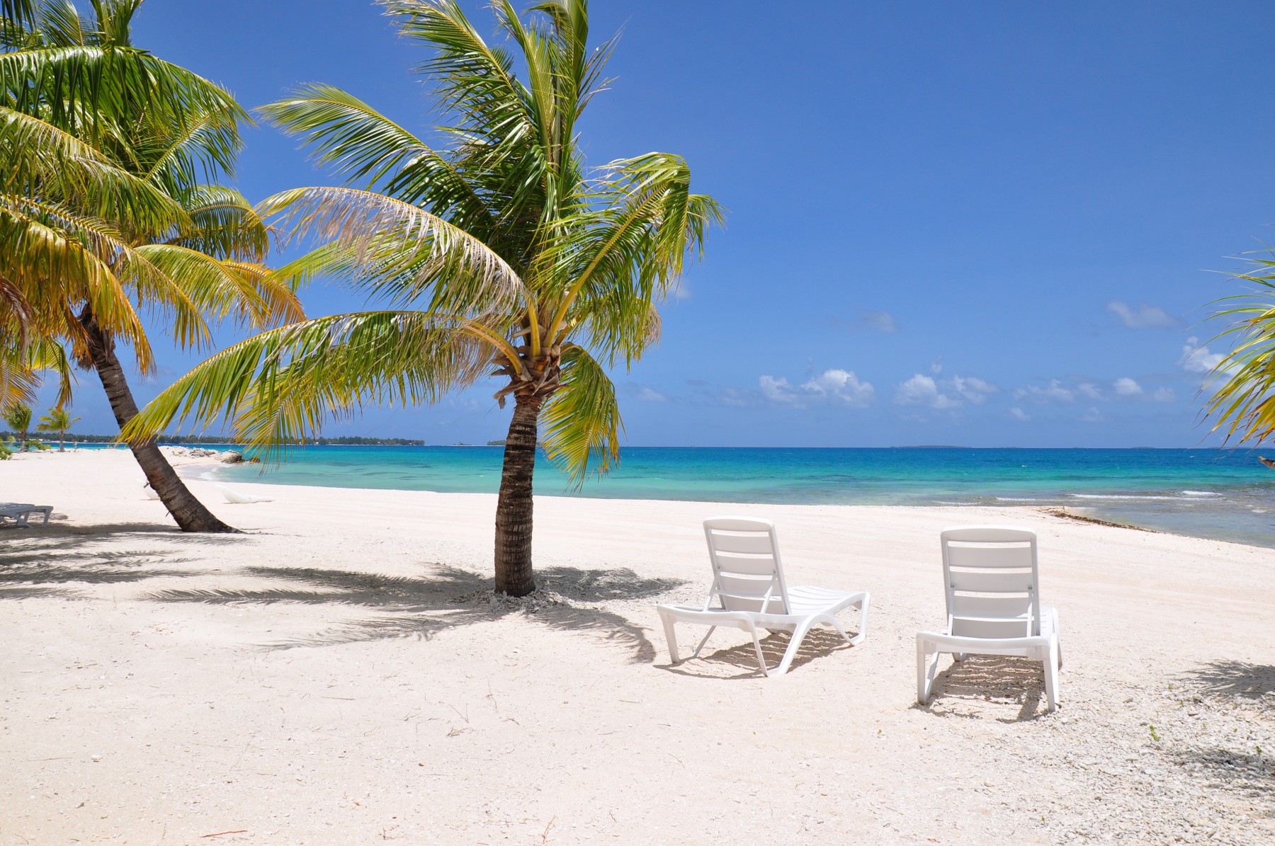 Pension Tikehau Paradise